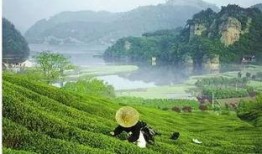 新昌县最新爆料消息,揭秘当地发展新动态与民生热点