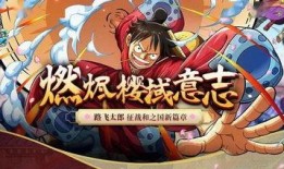 爆料国风路飞的视频在哪看,独家爆料观看指南